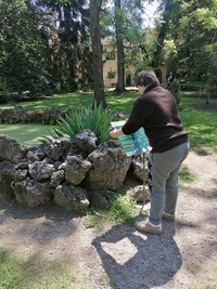 Ingrandisci immagine